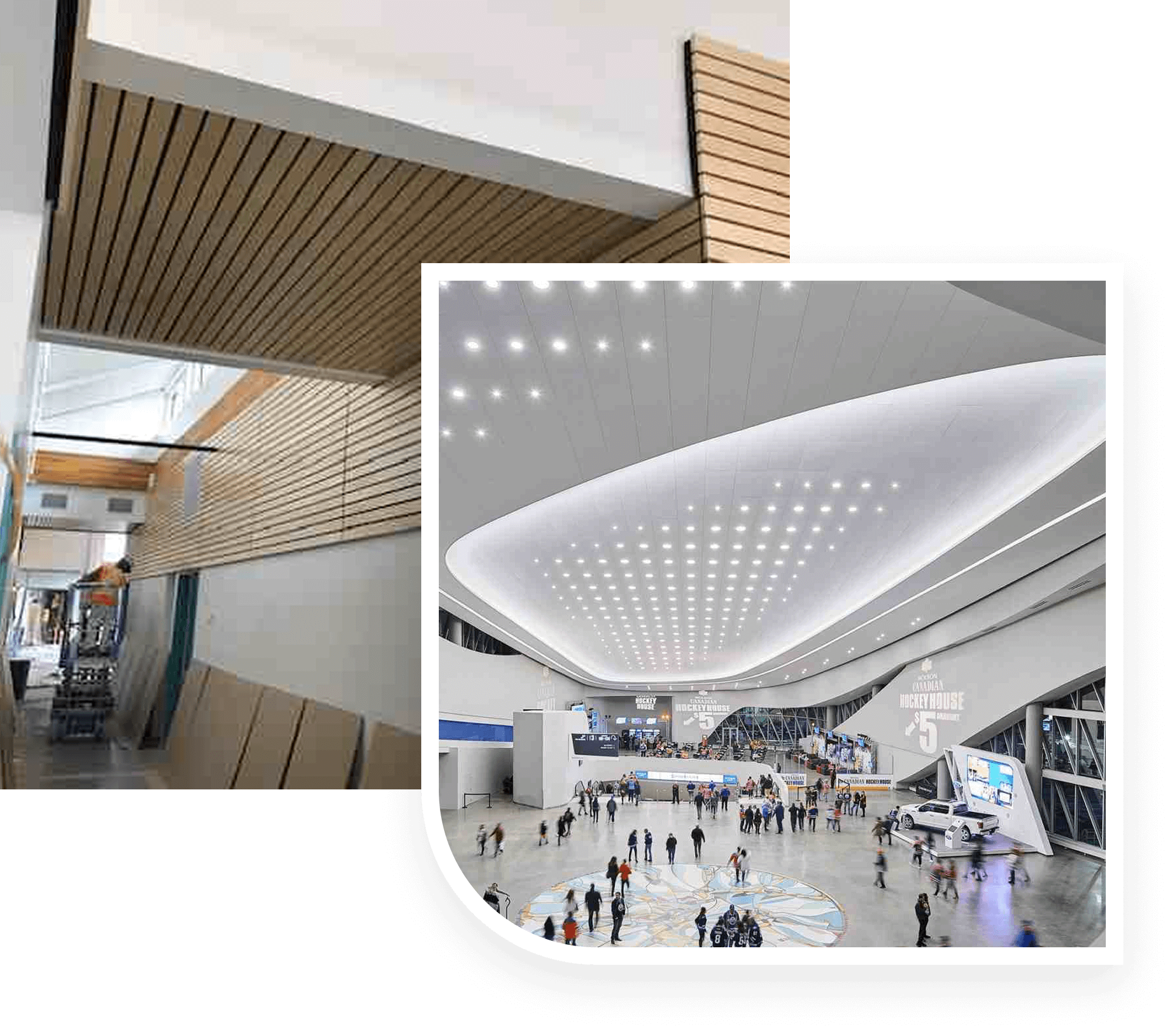 T Bar Mark Inc. founder’s journey from small beginnings to a trusted acoustical and ceiling contractor with over 30 years of experience.